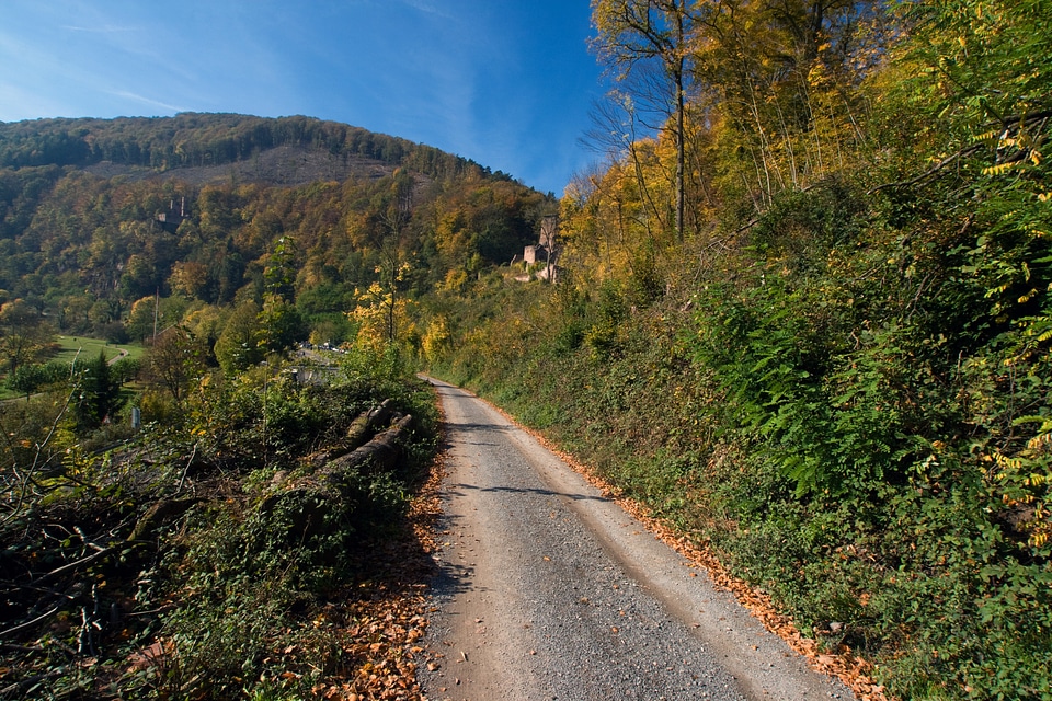 Odenwald autumn away