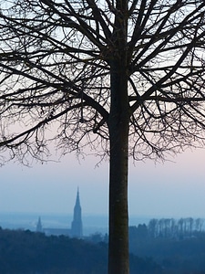 Branches symmetrical growth