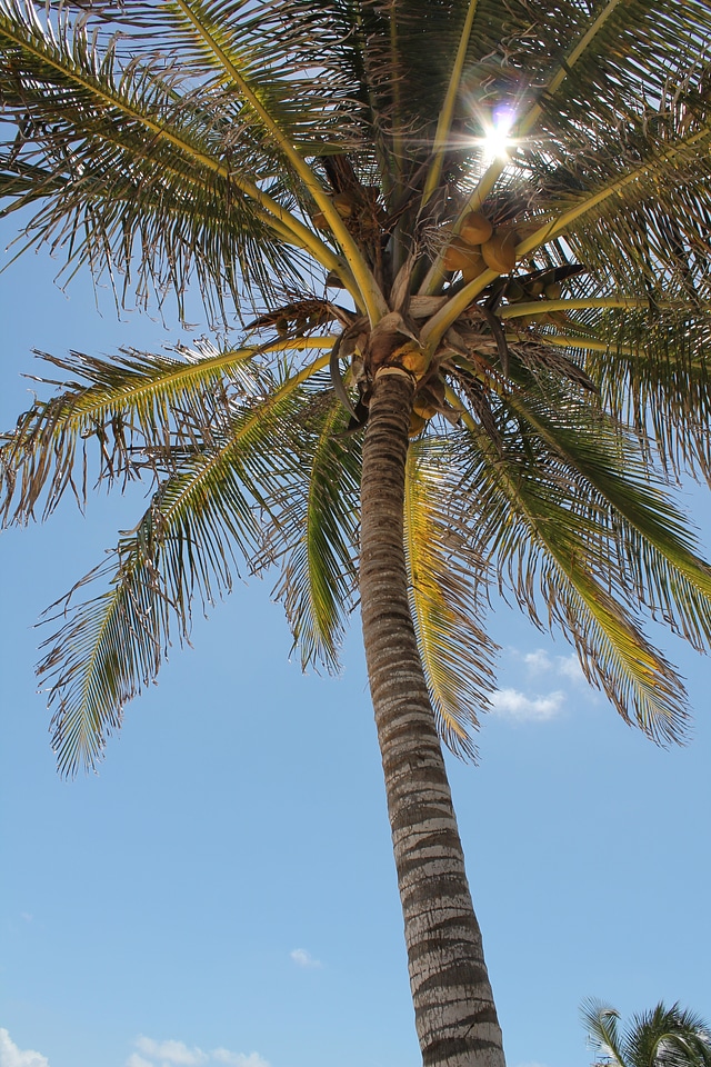 Costa summer landscape