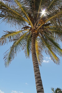 Costa summer landscape