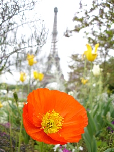 Eiffel tower flower tower