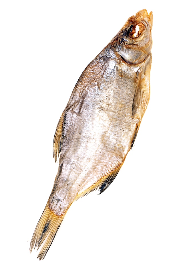 dried fish