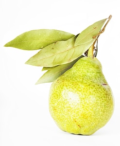 Pear photo