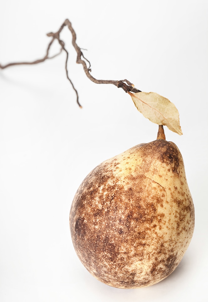 pear