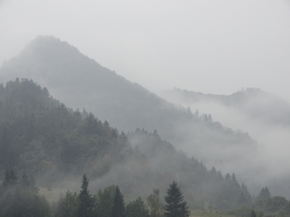 Mountains in the fog photo