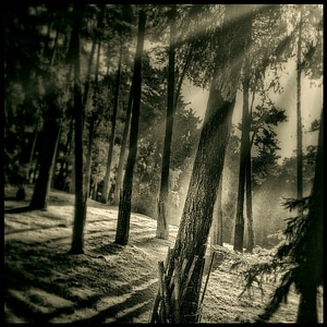 Backlighting mood sun