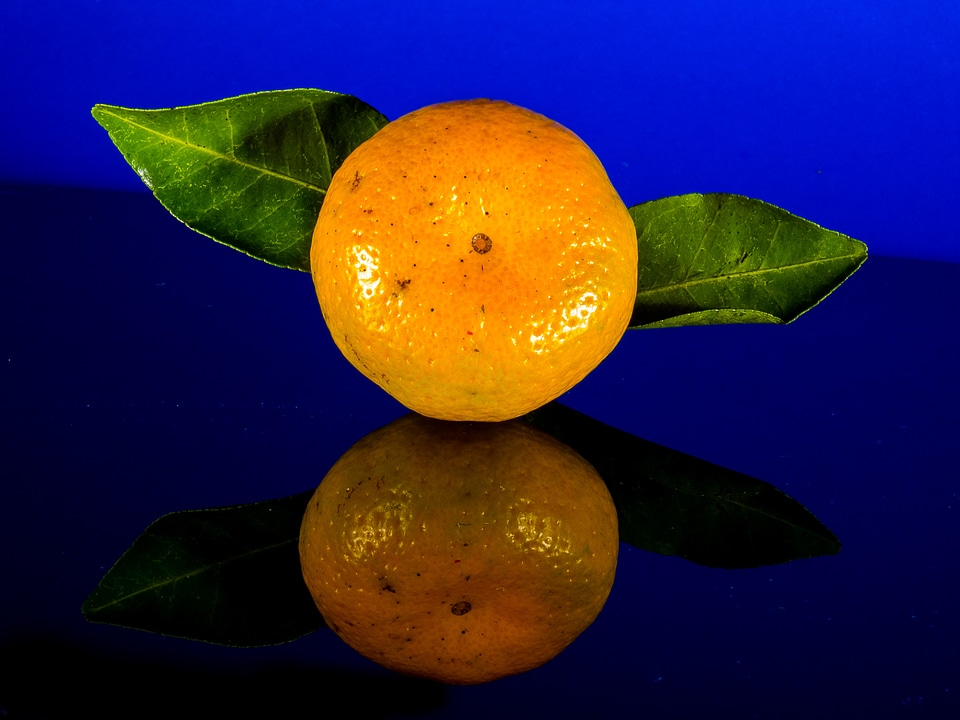 Mandarin fruit citrus fruit