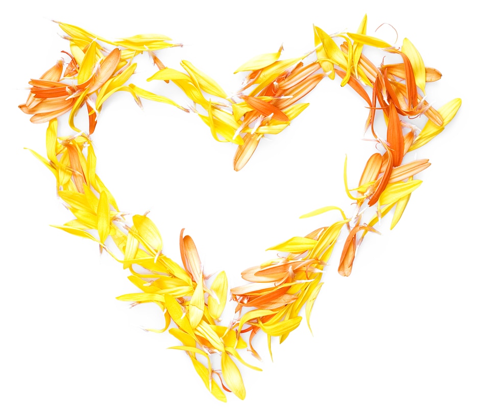 Heart of Flower Petals