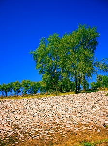 Nature scene