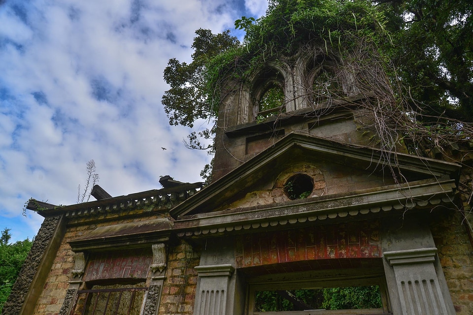 Sydney australia overgrown