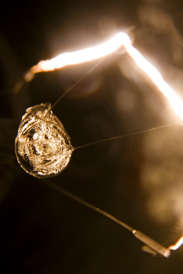 Light bulb macro photo