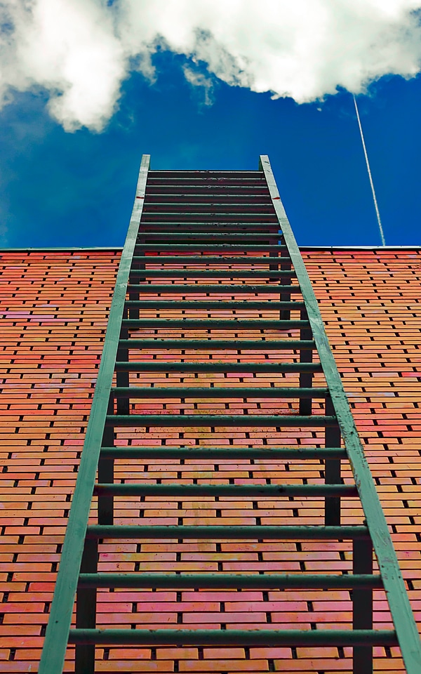 Ladder