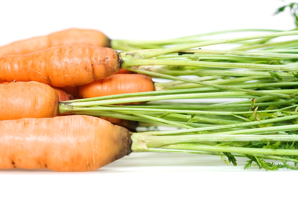 Carrots on White