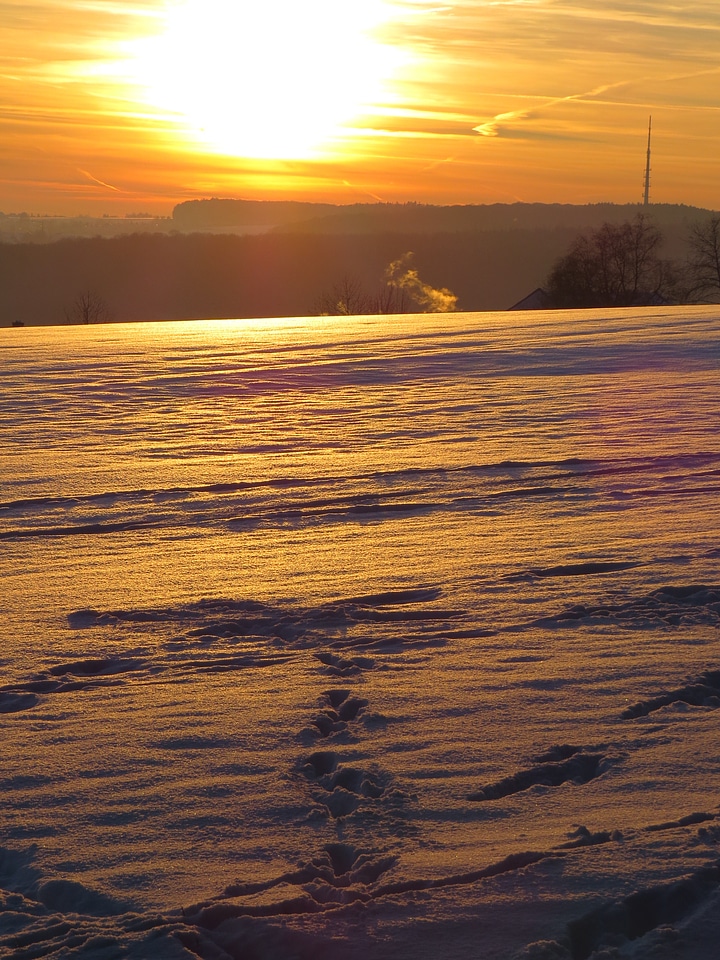 Cold snow landscape golden