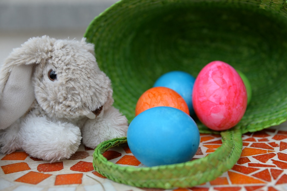 Colorful easter eggs color