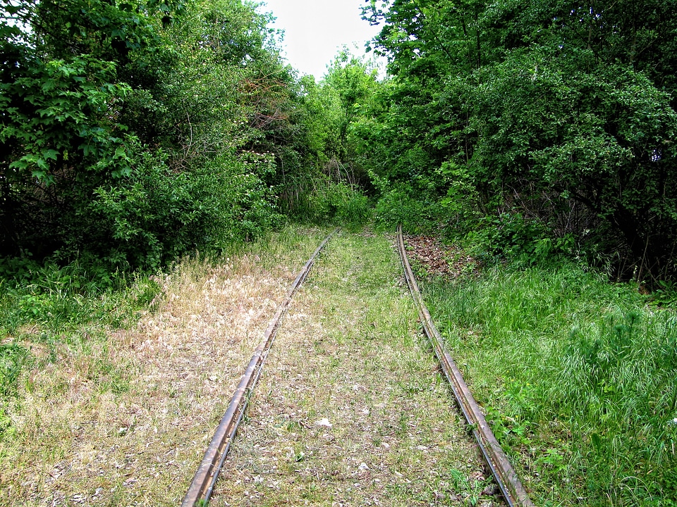 Track end nature train photo