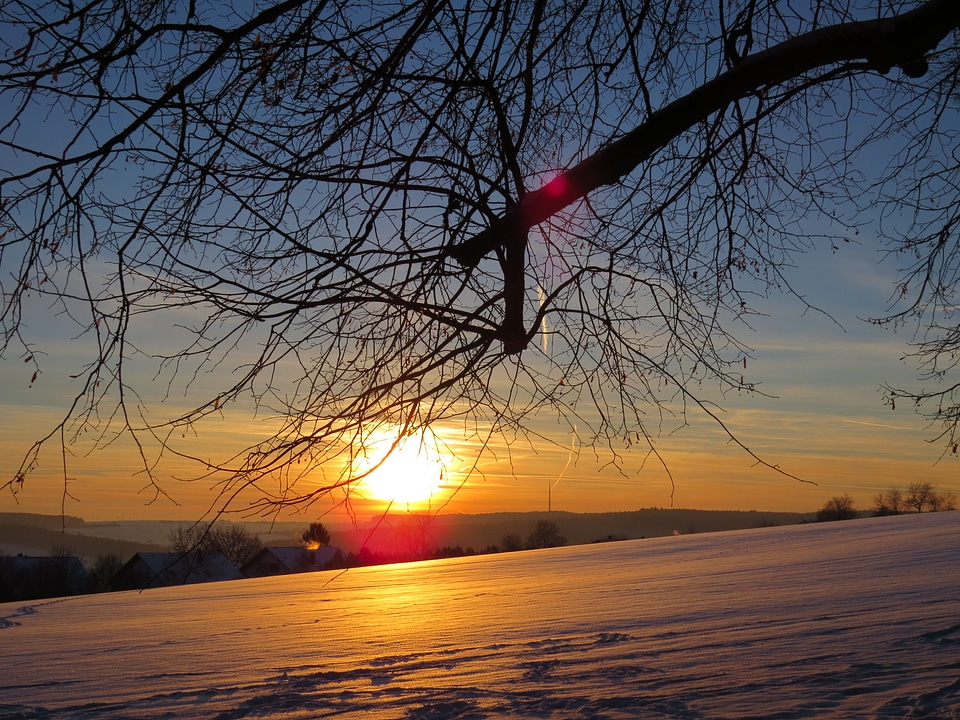 Wintry sun fields photo