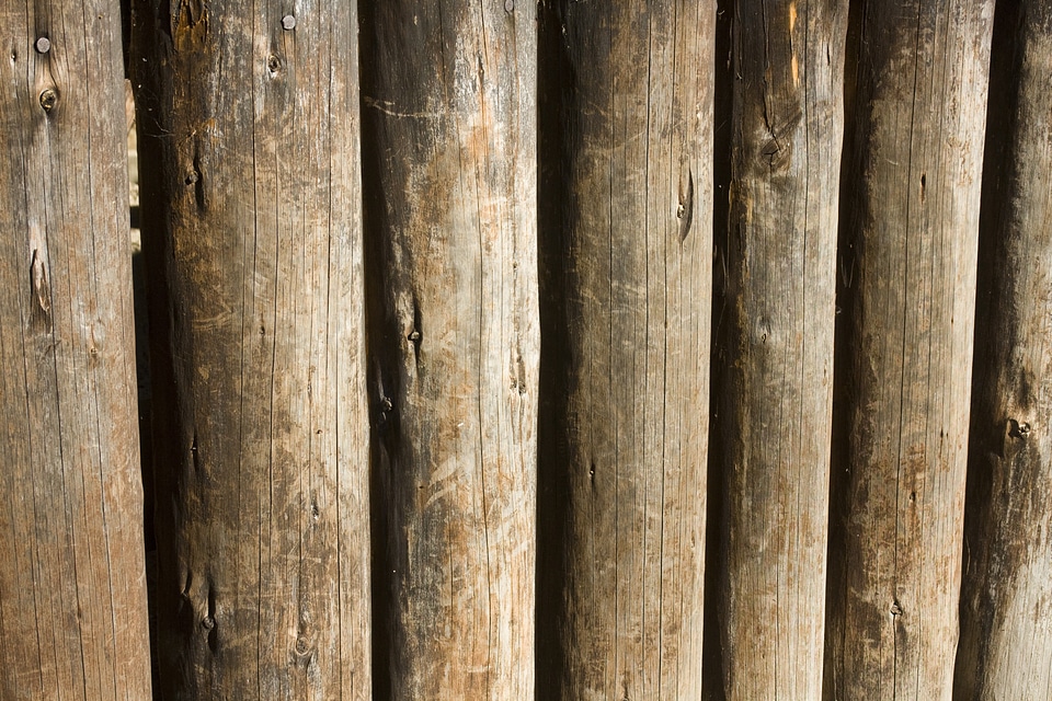 Wood texture structure