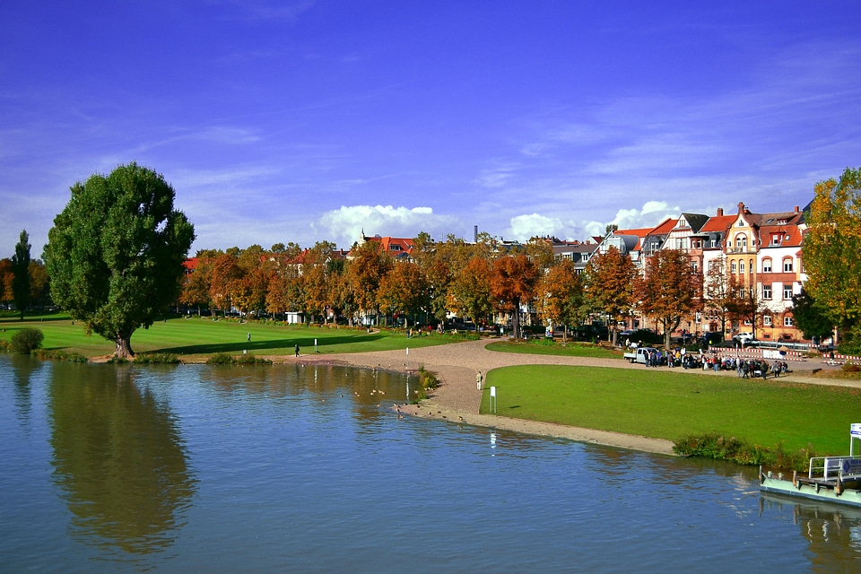 River neckar houses