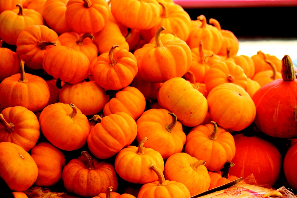 Thanksgiving halloween october