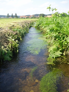 Water channel flow