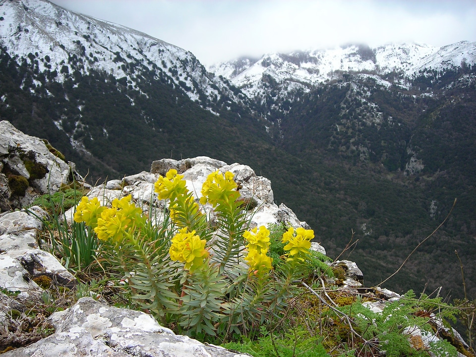 Mountains sicily italy
