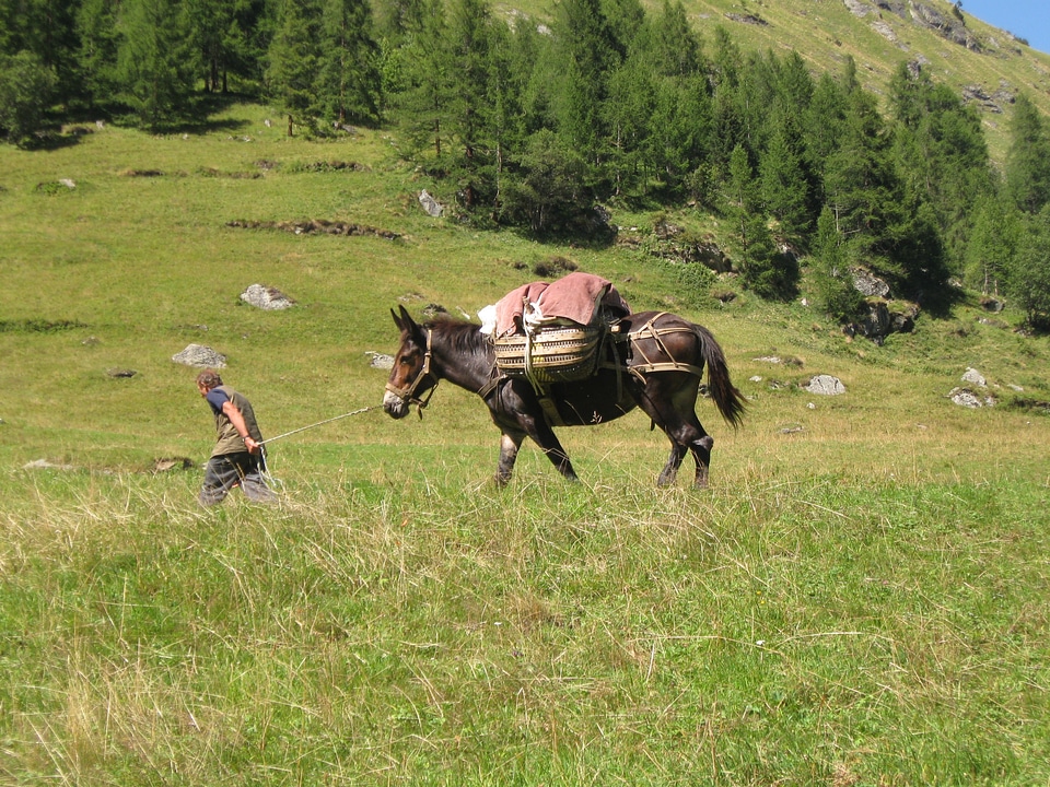 Mountain load supplies