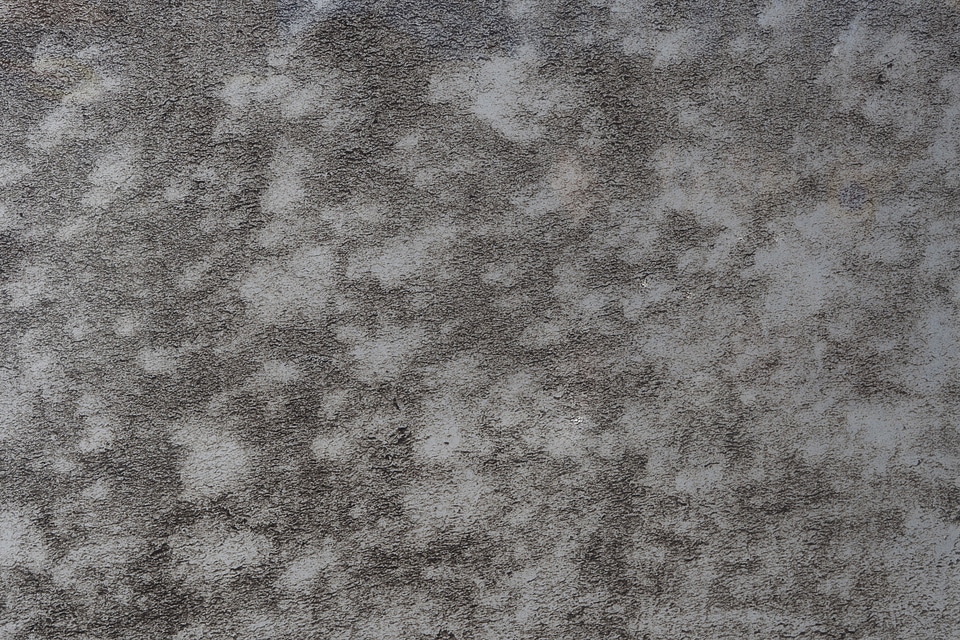Dirt on Plexiglass