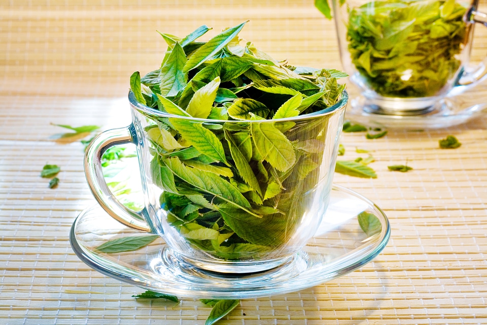Cup with tea leaves