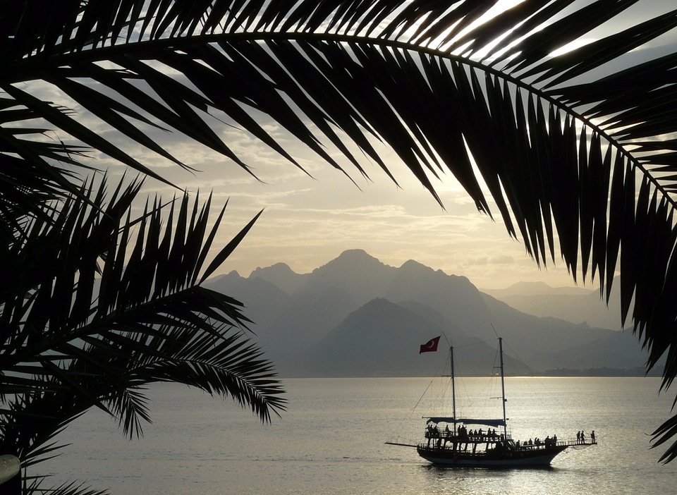 Palm trees mountains ocean
