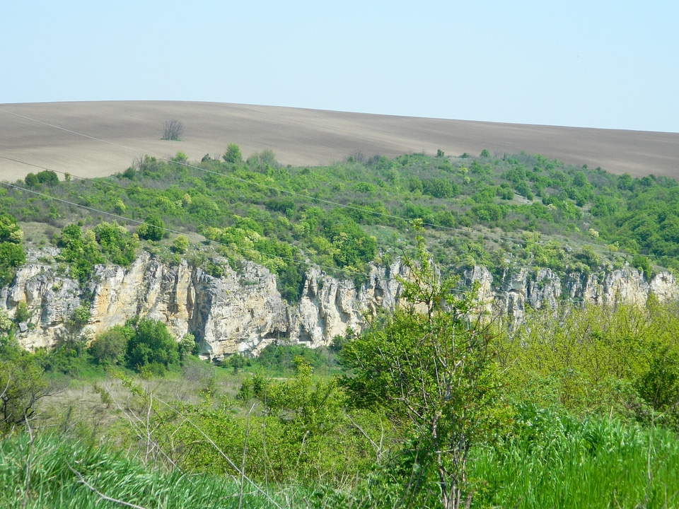 Turkey Green Nature
