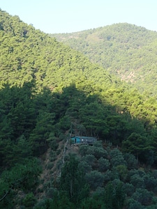 Mountain View Cabin