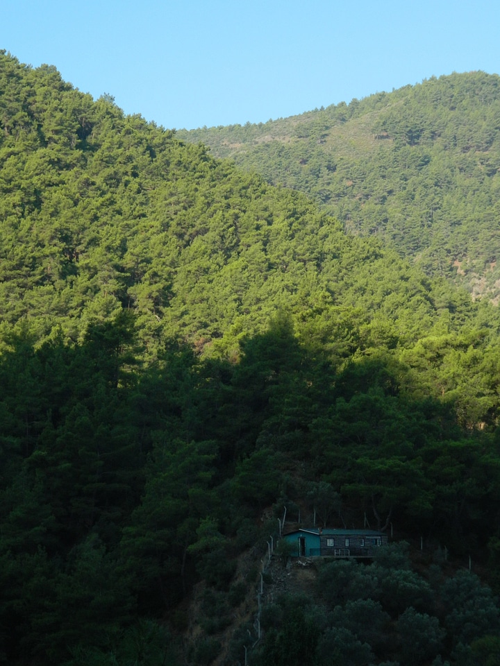 Old House in Green Nature