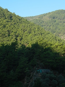 Old House in Green Nature
