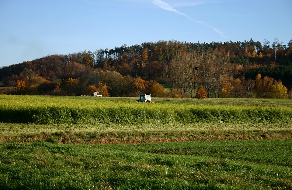 Field autumn colorful