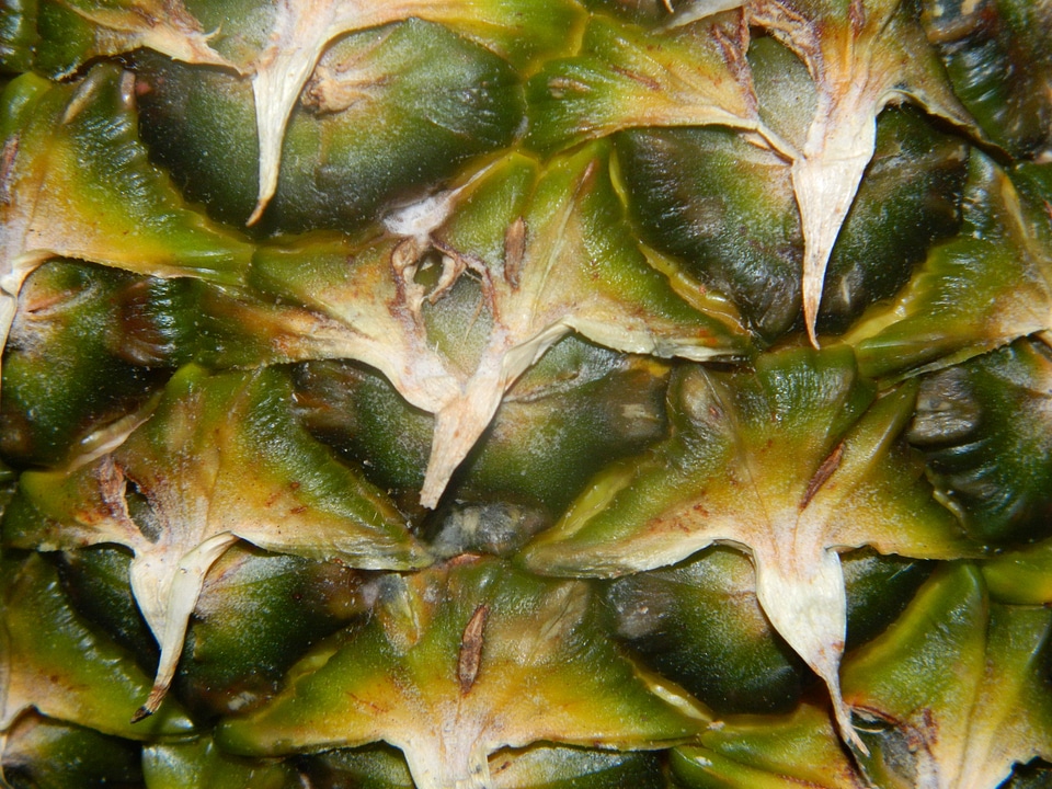Pineapple Close Up Shot