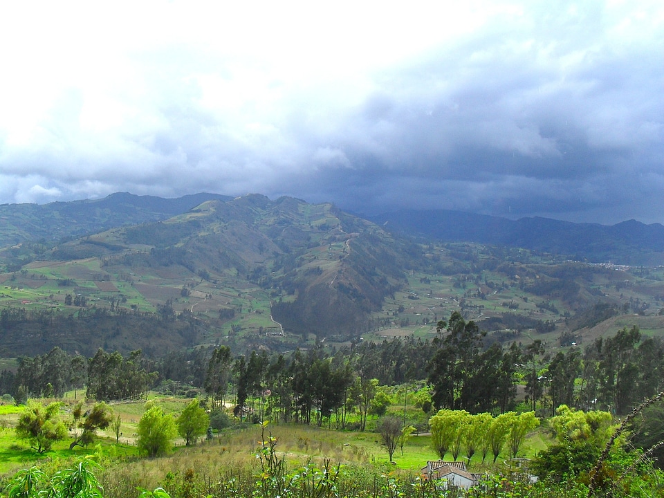 Summer mountains forest