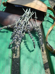 Lavender in leather bag photo