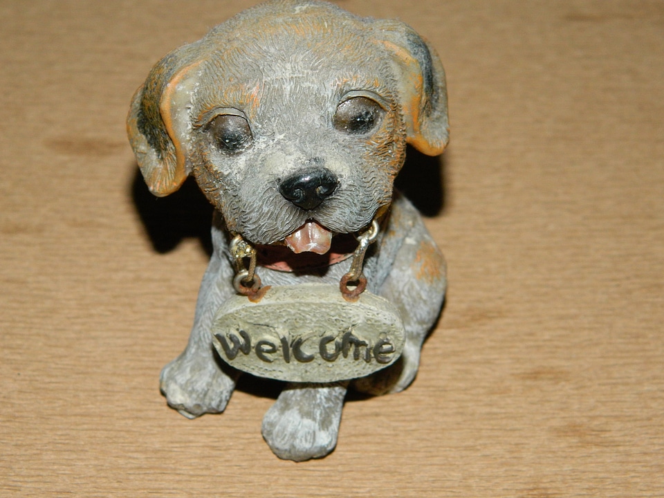 Dog With Welcome Sign