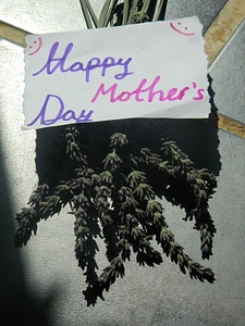 Happy Mothers Day photo