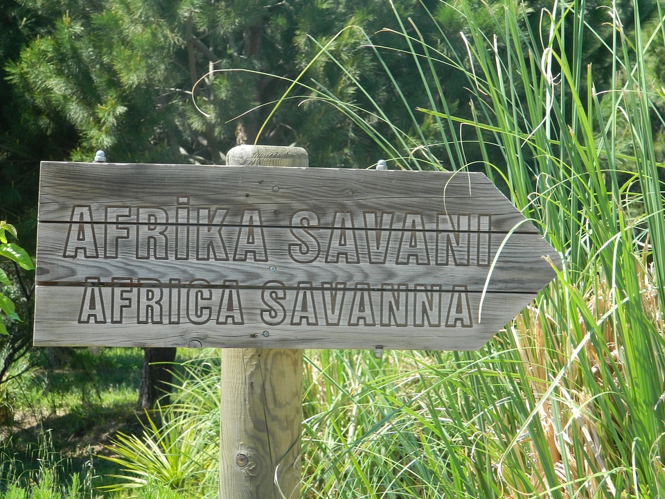 Africa Savanna Sign