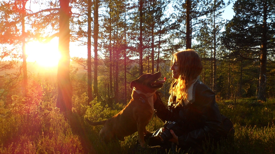 Dogs walking woman