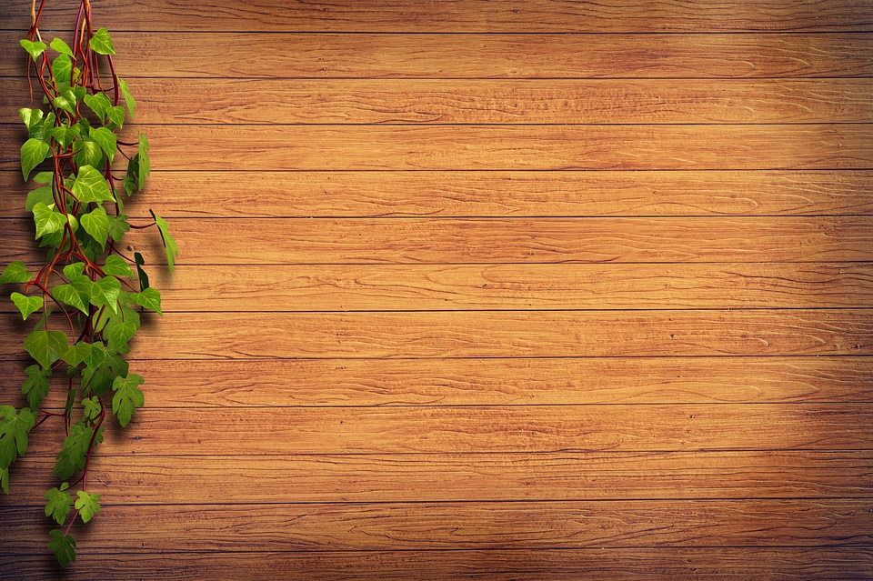 Wood Background with Ivy