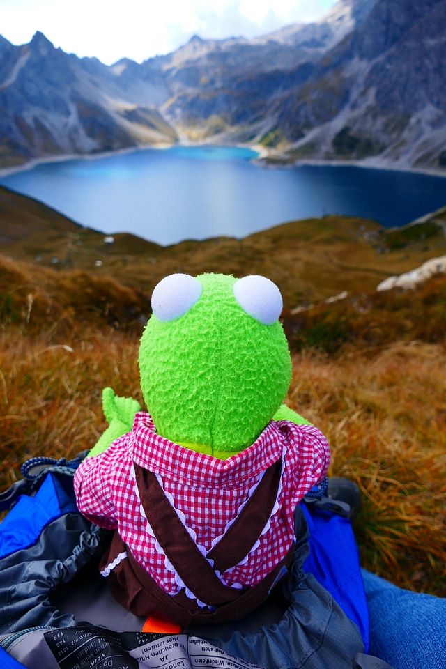 Kermit frog green