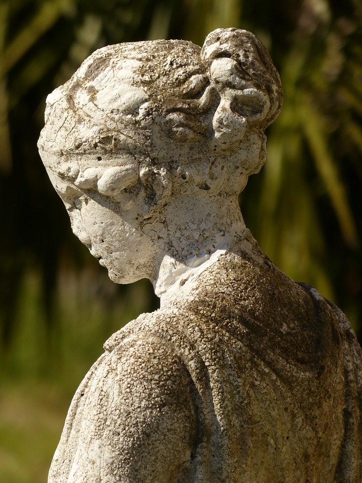 Weathered head side profile