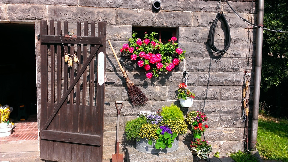 Chicken coop door flowers horse halter