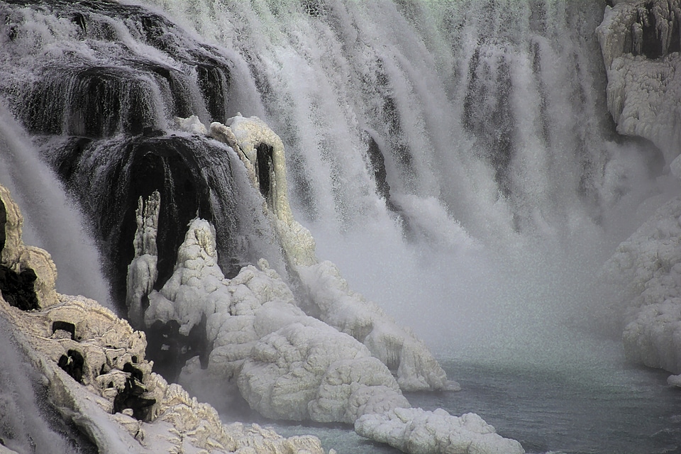 Nature cold winter