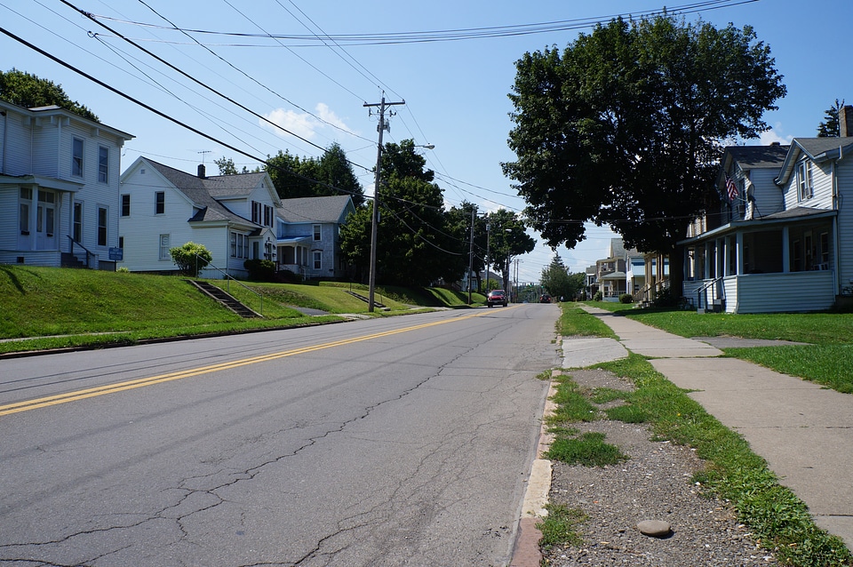 Outdoor asphalt tree