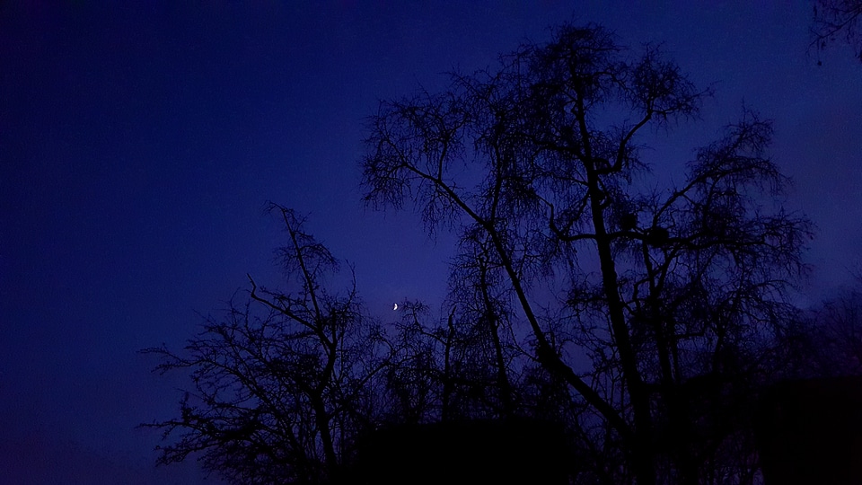 Dark Blue Night
