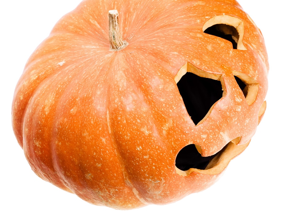 Carved Pumpkin on White